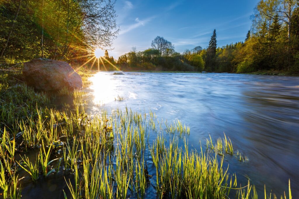 Natalia Sokko / sokko_natalia - stock.adobe.com