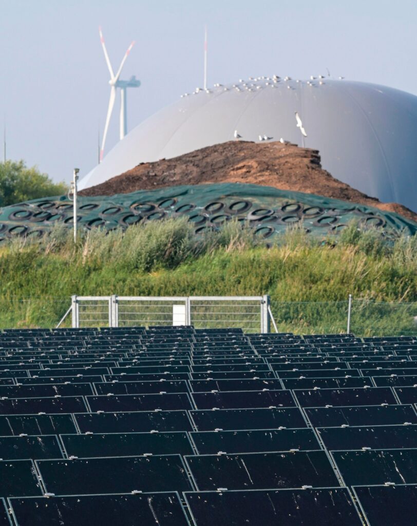 Credit: Joerg Boethling / Alamy Stock Photo