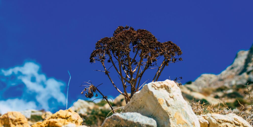 mauritius images / Alamy Stock Photos / hernandez jose maria