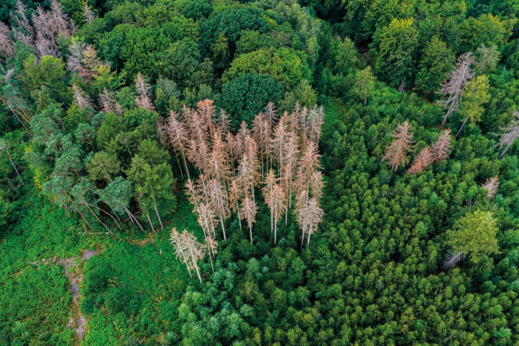 Credit: Daniel Beckemeier / Alamy Stock Photo