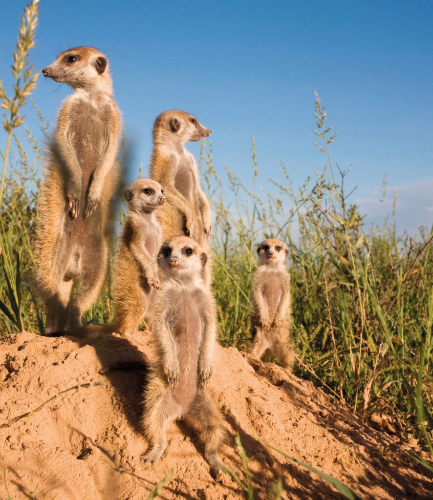 Credit: robertharding / Alamy Stock Photo