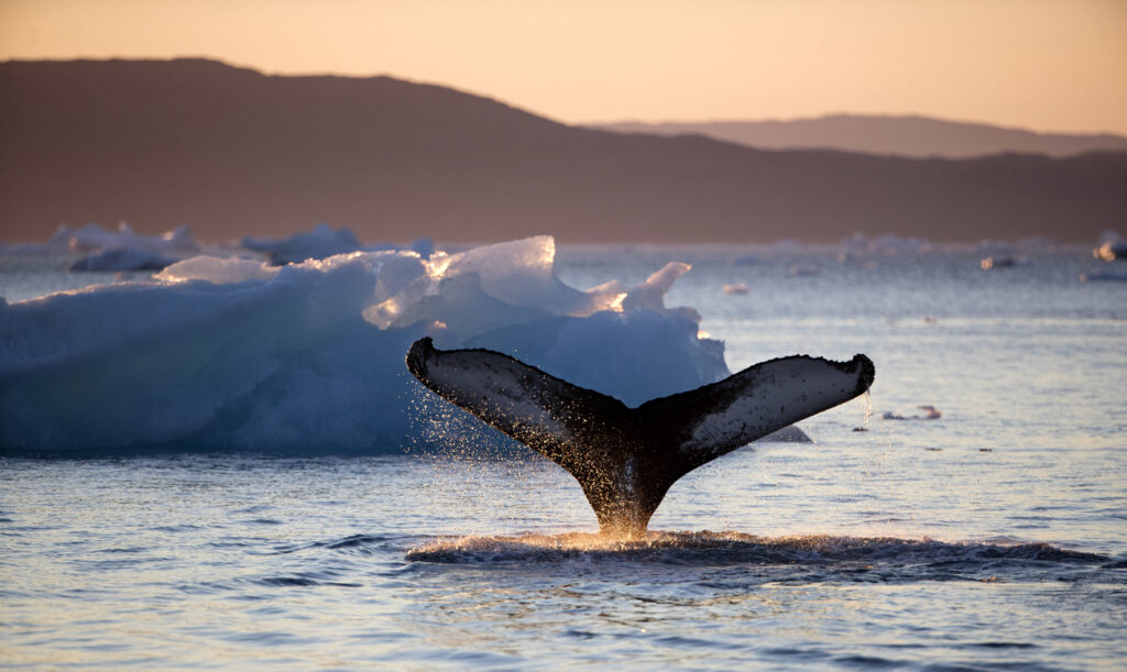 Copyright 2017 The Associated Press. All rights reserved.