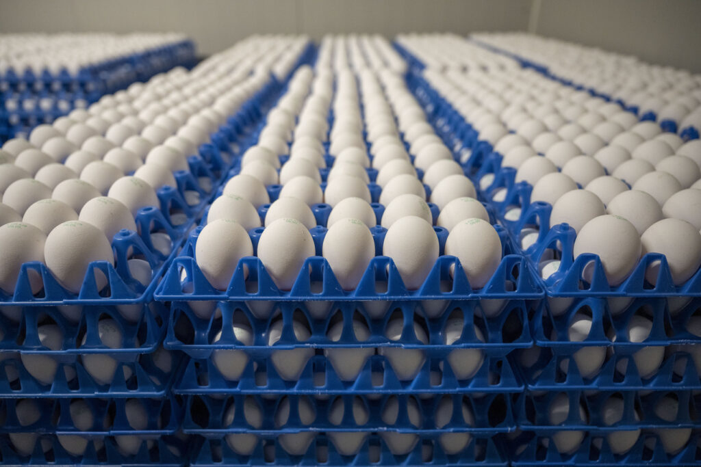 © KEYSTONE / CHRISTIAN BEUTLER