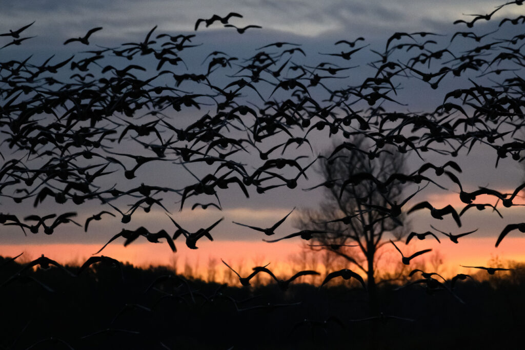 KLAUS-DIETMAR GABBERT / KEYSTONE