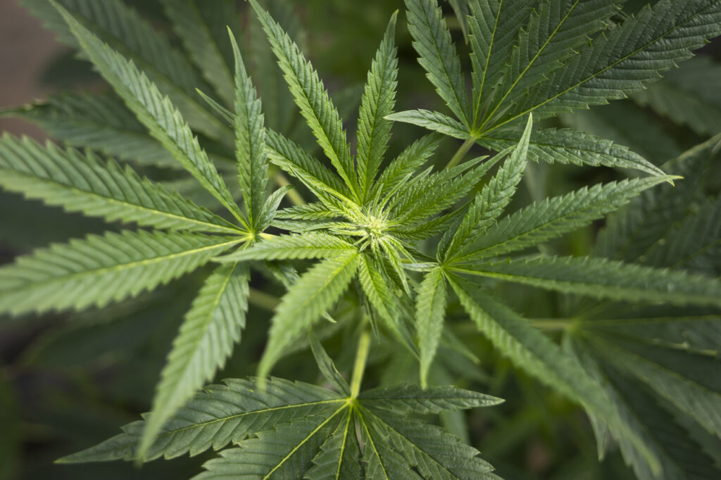 © KEYSTONE / PETER KLAUNZER