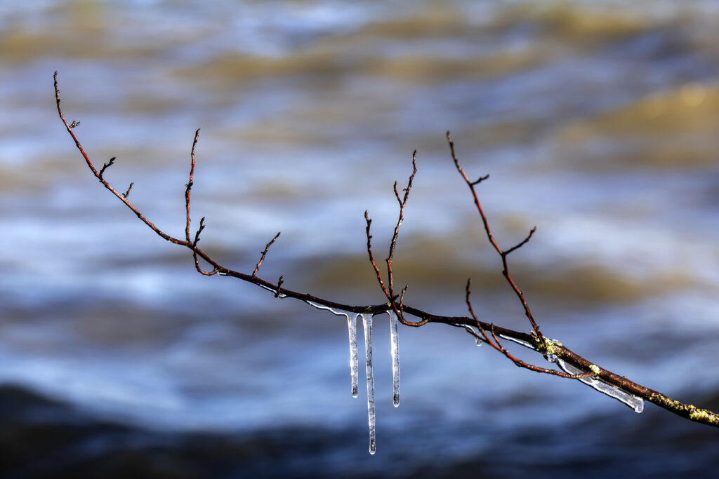 © KEYSTONE / SALVATORE DI NOLFI