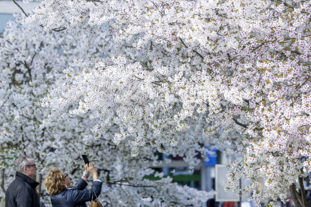 © KEYSTONE / SALVATORE DI NOLFI