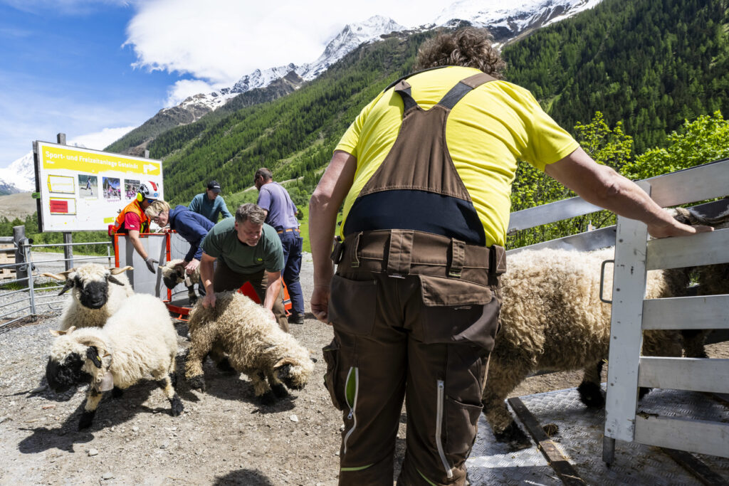 © KEYSTONE / JEAN-CHRISTOPHE BOTT