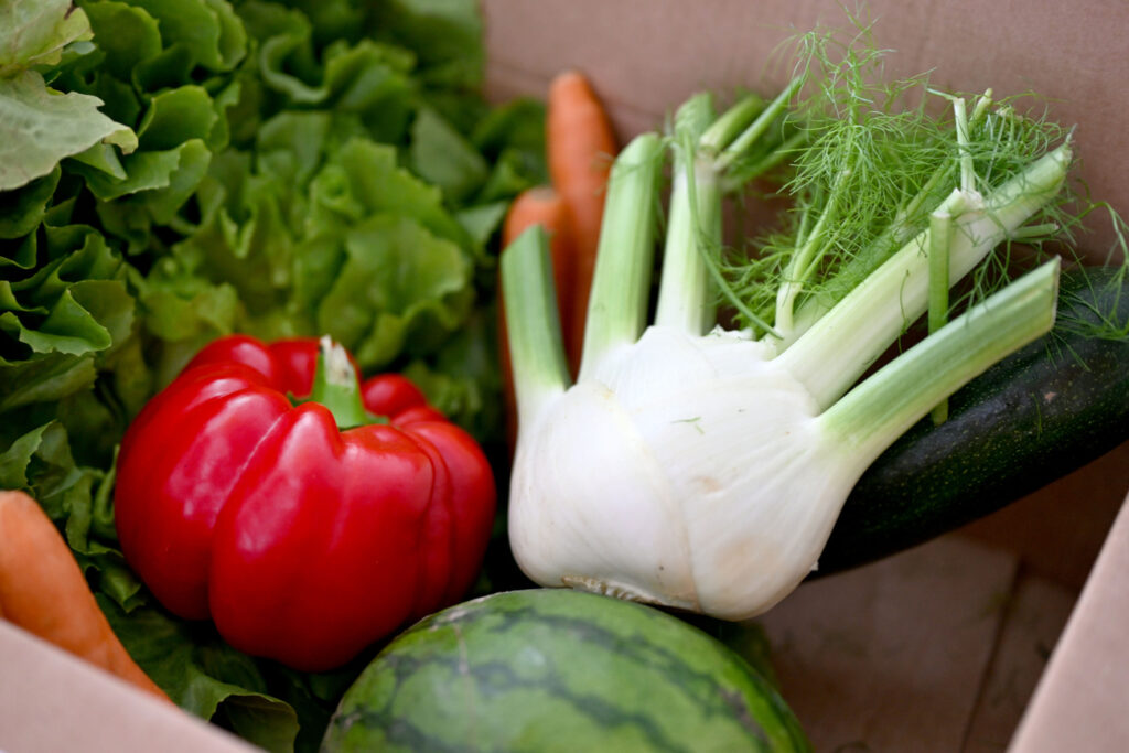 BARBARA GINDL / KEYSTONE