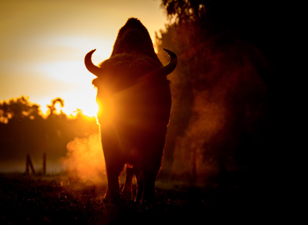 PATRICK PLEUL / KEYSTONE