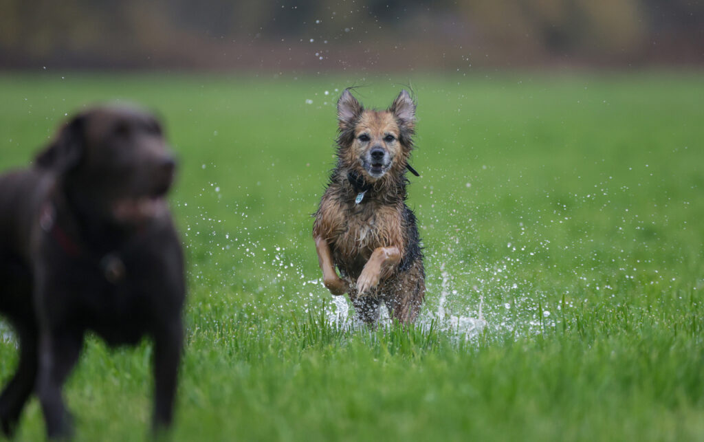 THOMAS WARNACK / KEYSTONE