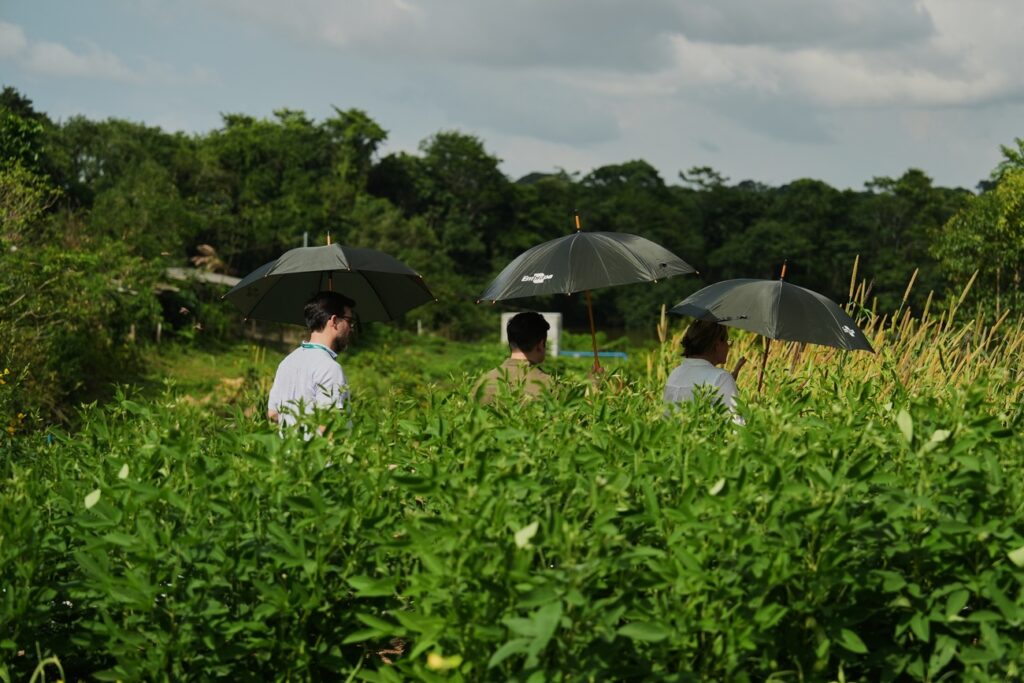 Copyright 2025 The Associated Press. All rights reserved