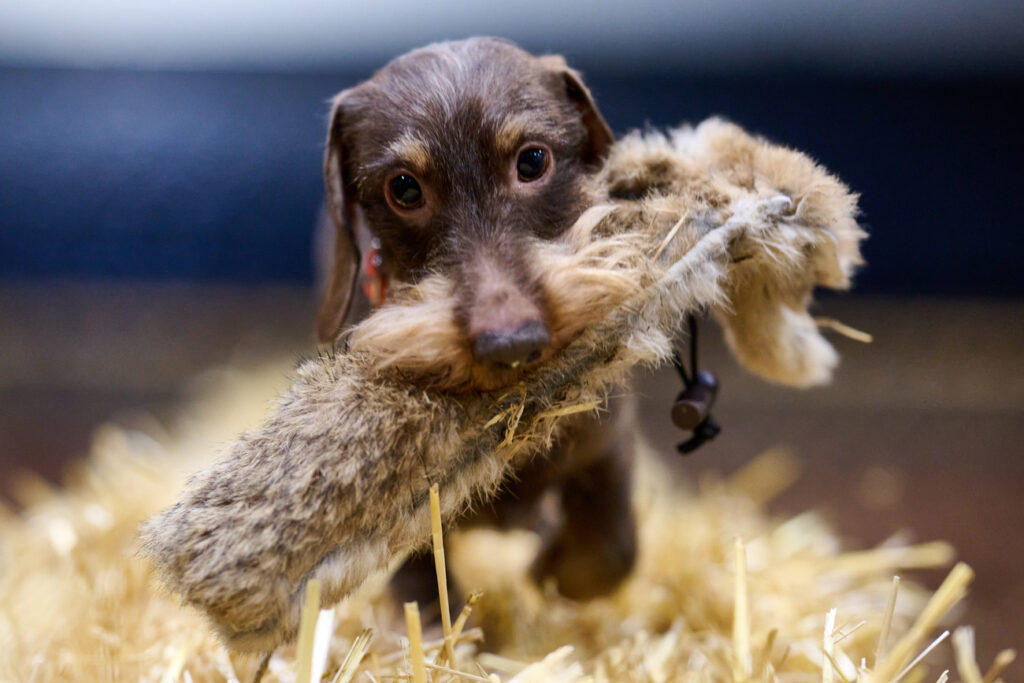 BERND THISSEN / KEYSTONE