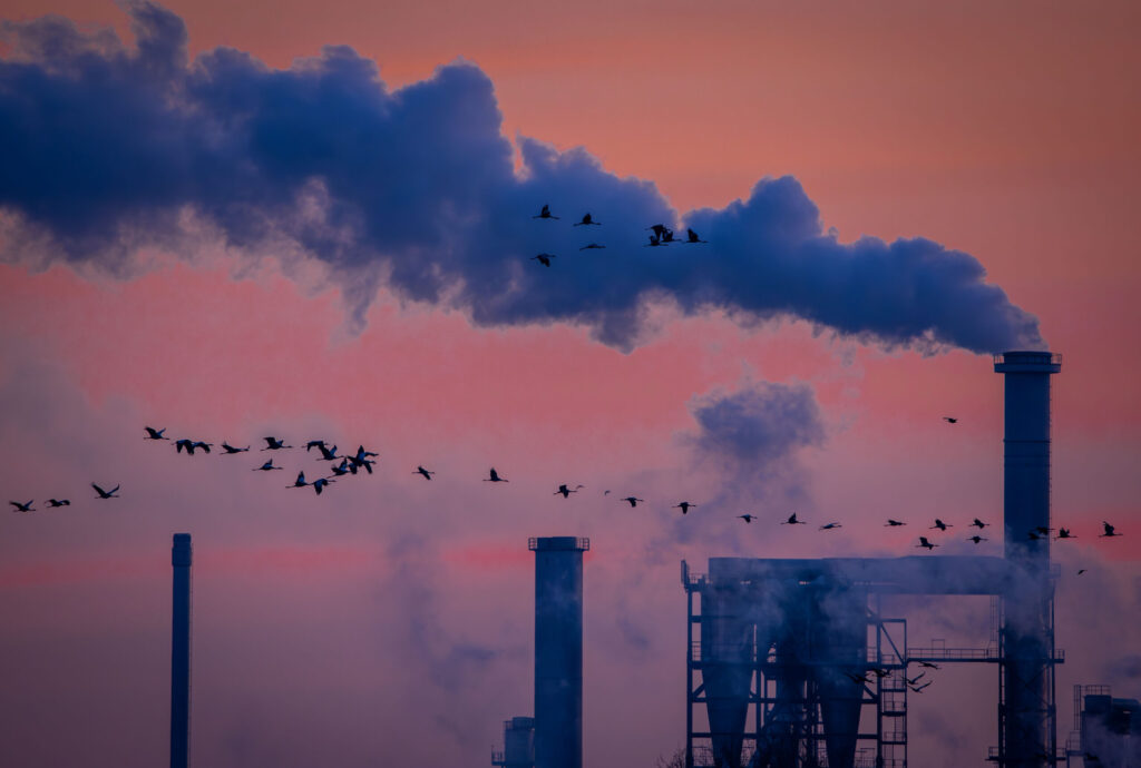 Jens Büttner/Keystone