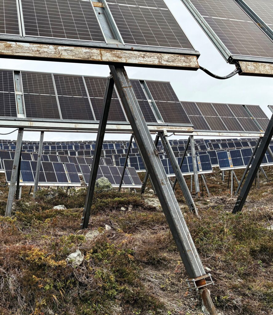 Inmitten des Solar-Dschungels