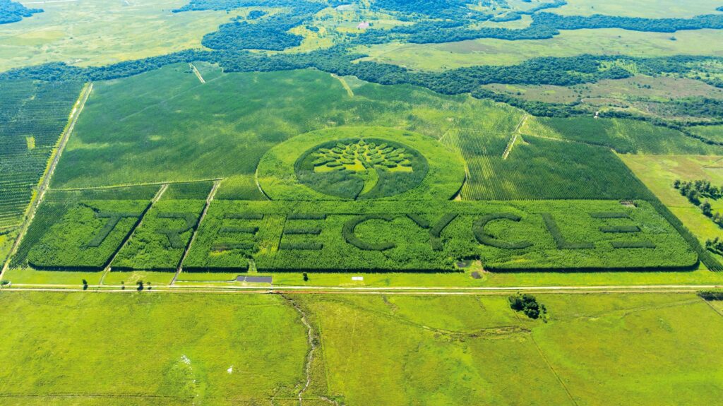 Mit Wäldern zu Reichtum