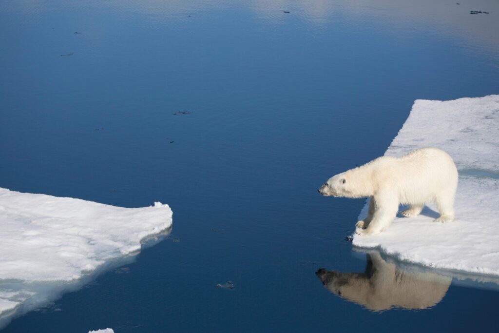 Credit: Galaxiid / Alamy Stock Photo