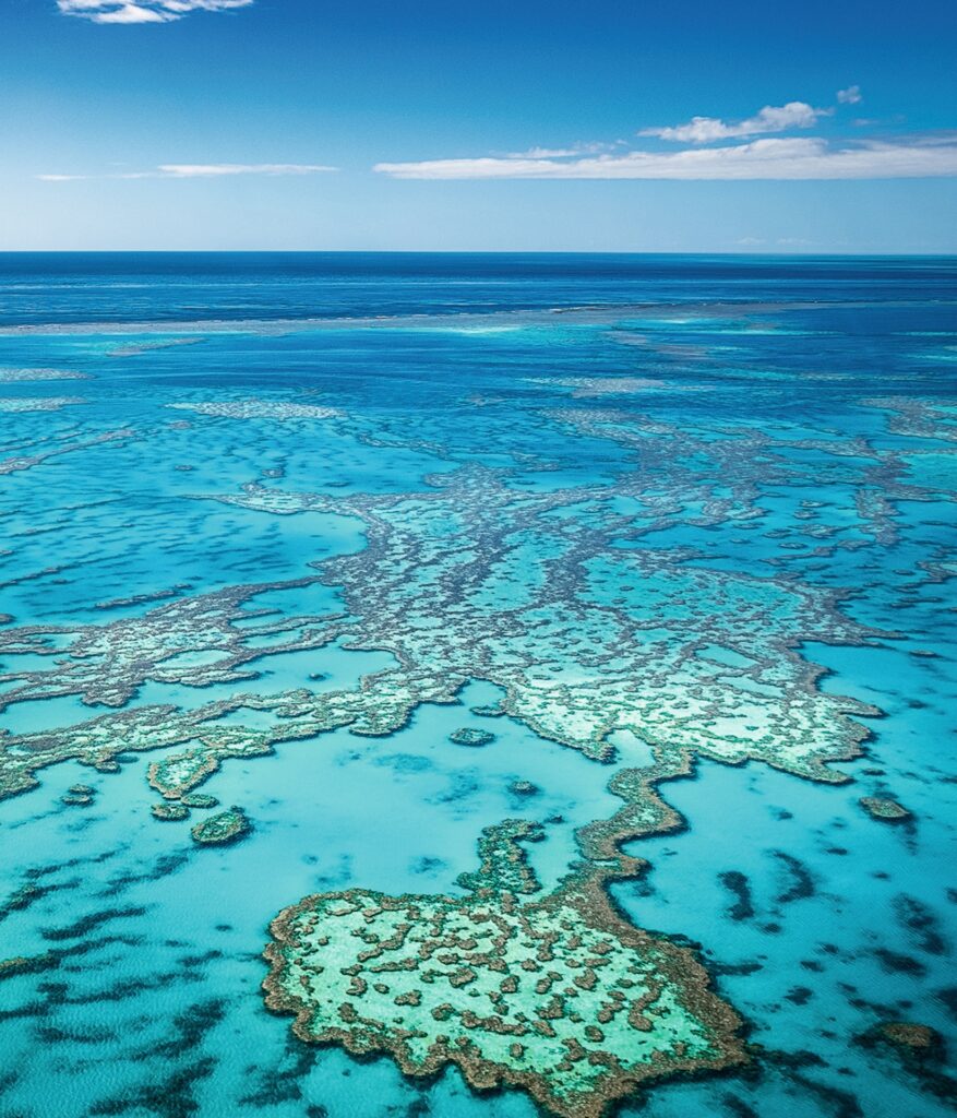 c 2018 I Shafiq/Shutterstock.  No use without permission.