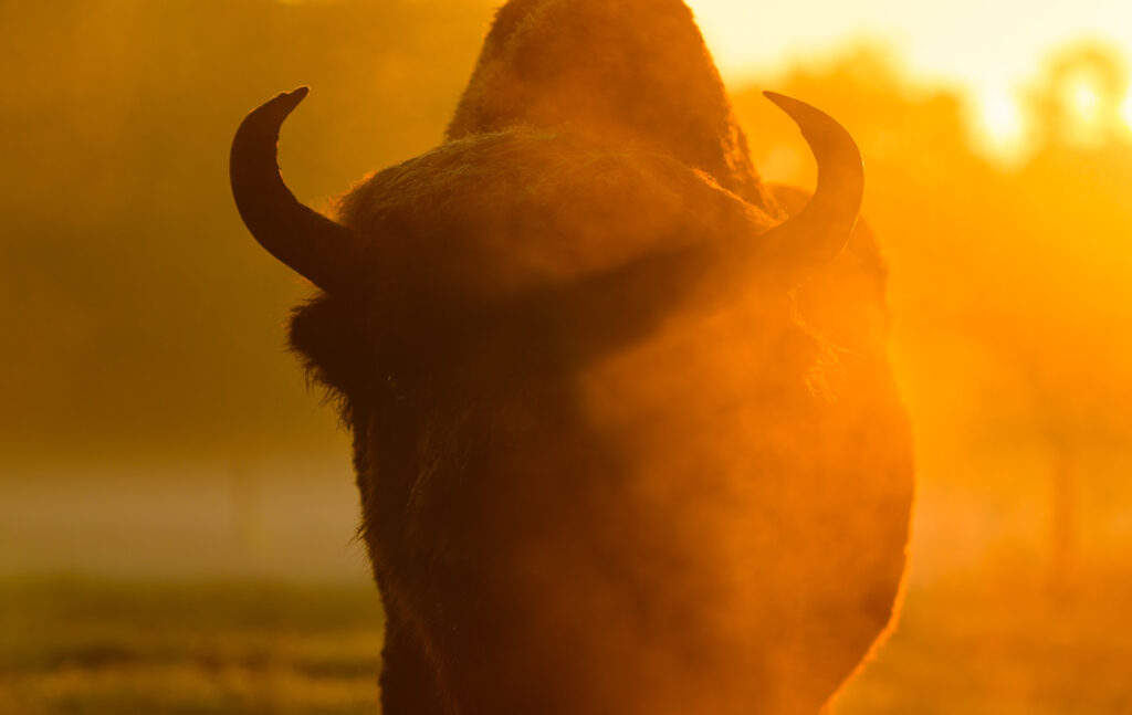 PATRICK PLEUL / KEYSTONE