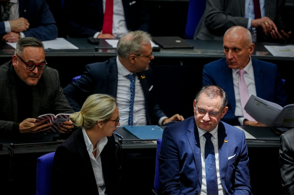 AfD im Nahen Osten: Opposition auf dem Irrweg. Konservativ ist, sich nicht einzumischen